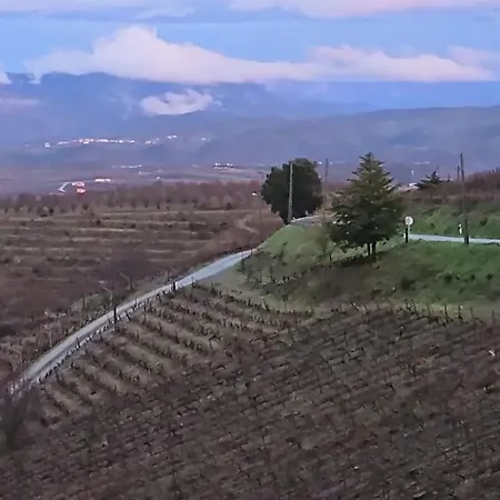 Charming House In Nova De Foz Coa With Private Entrance 別荘 Numao