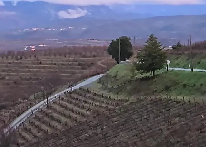 Charming House In Nova De Foz Coa With Private Entrance Tatil Evi Numao